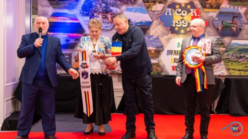 Dorel VIȘAN
